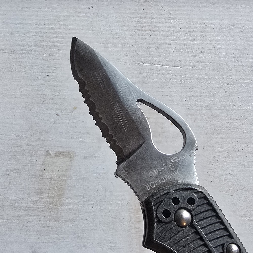 SPYDERCO BYRD ROBIN LOCKBACK KNIFE