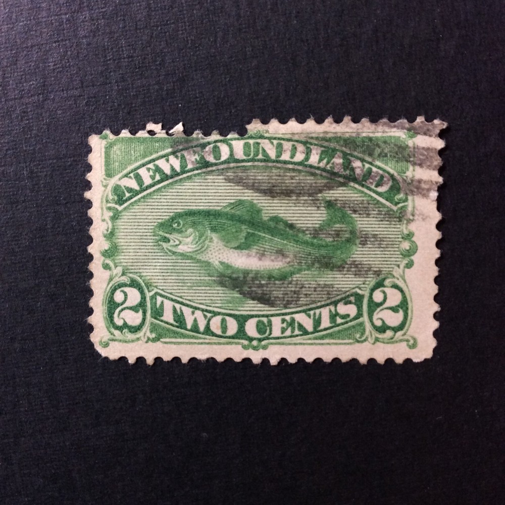 BroadviewStamps Newfoundland #46 used error. Adjusted perf.