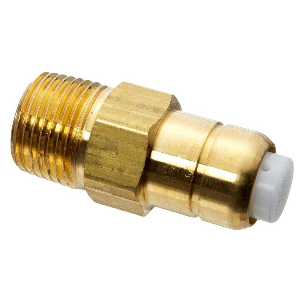 Genuine OEM Annovi Reverberi TPP140-1/4A Thermal Relief Valve