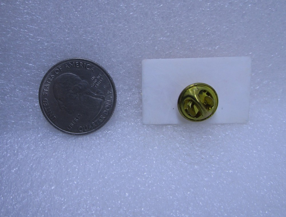 Solidarnosc Solidarity Plastic Pin