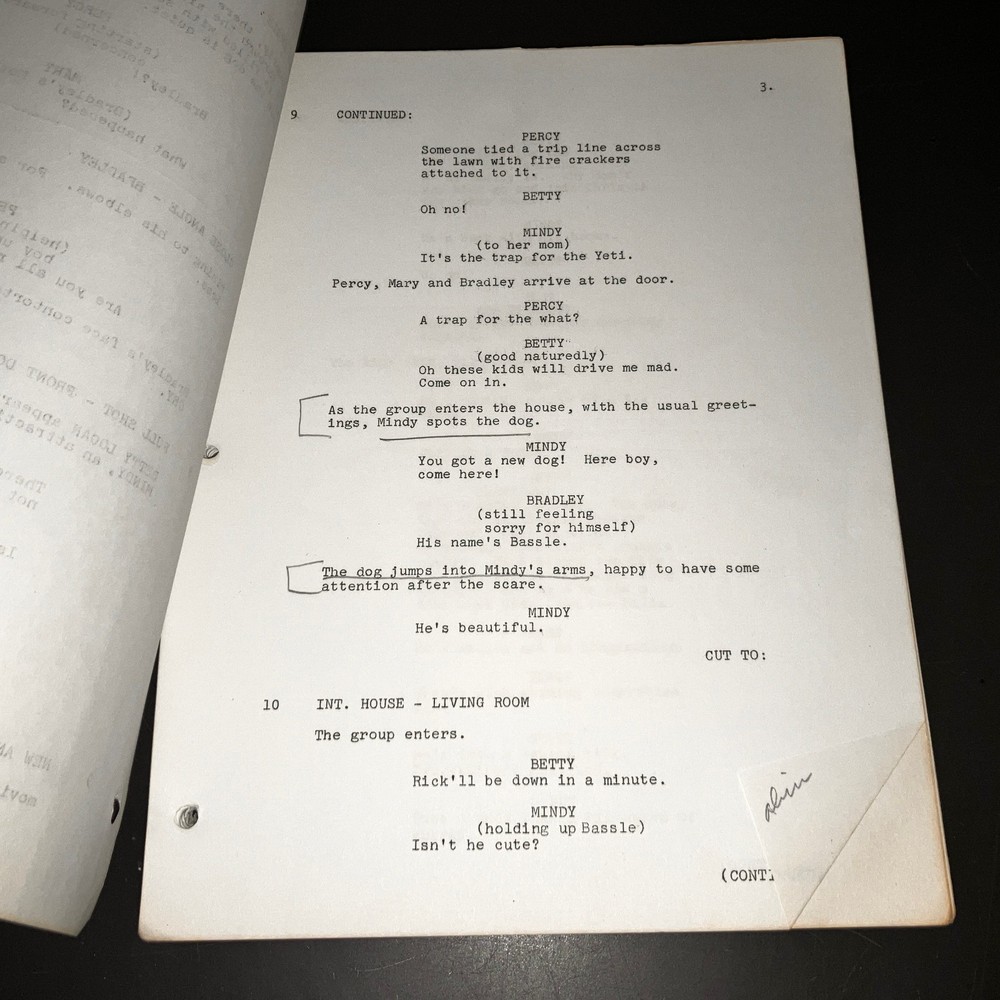 WILD OATS & INDIANS (Circa '70s) Stuart Raffill Unmade ANIMAL BREAKDOWN Script++