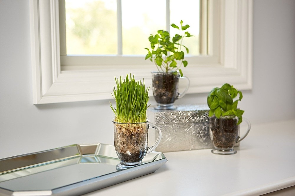 Clear Mug Set 4 Piece