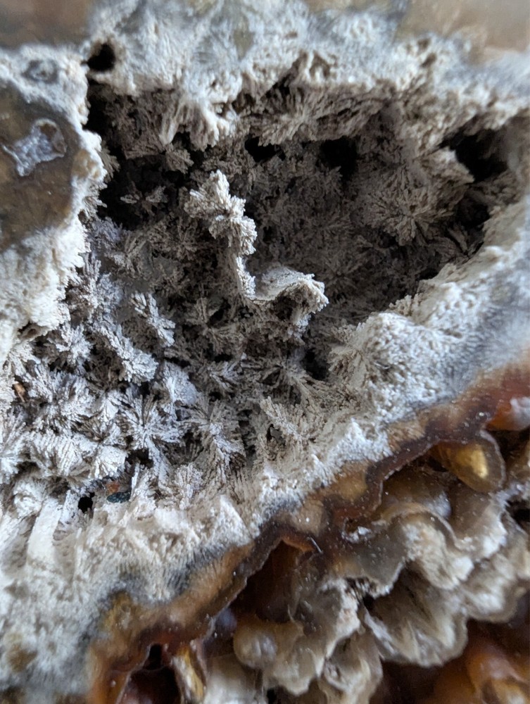 coral slab brown white multi-textured natural