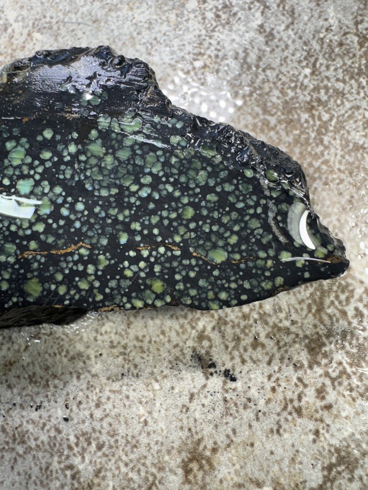 Natural Nevada Variscite rough star fox