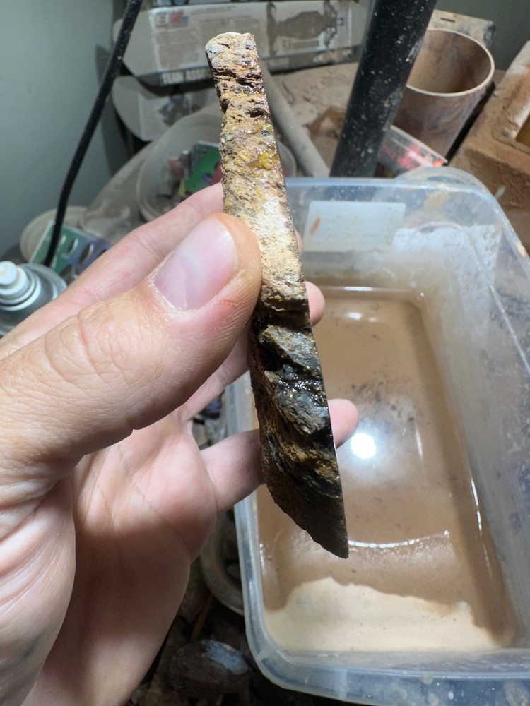Dinosaur bone rough **hxtled end cut.