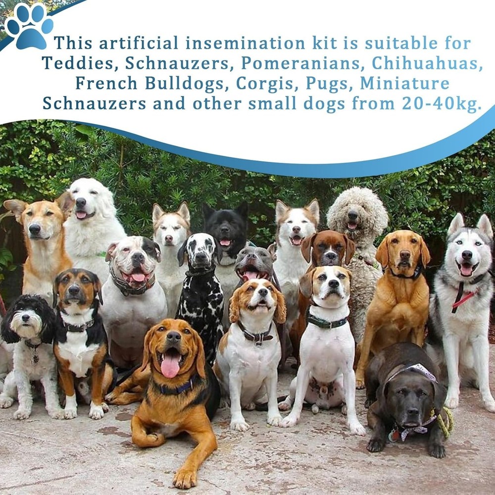 Dog Artificial Insemination Kit for Medium Dogs