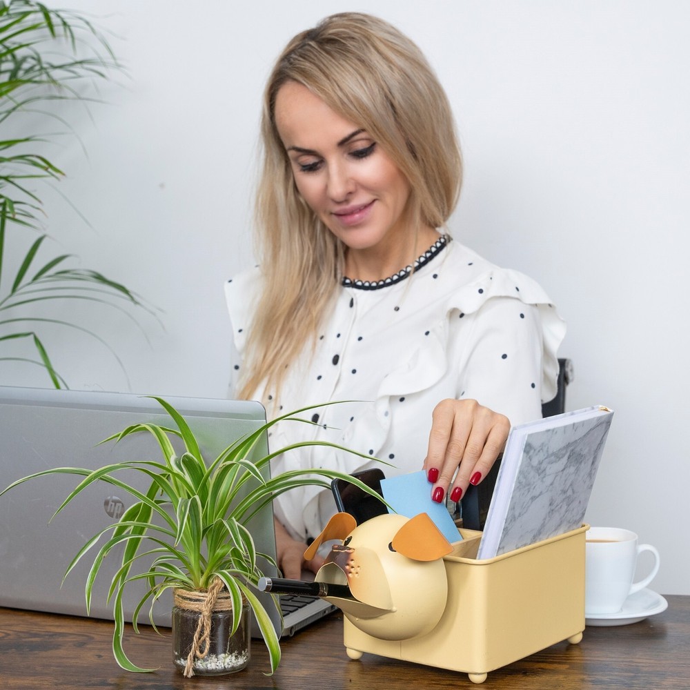 Made Easy Kit Desk Organizer, with Module Compartments (Brown Dog)