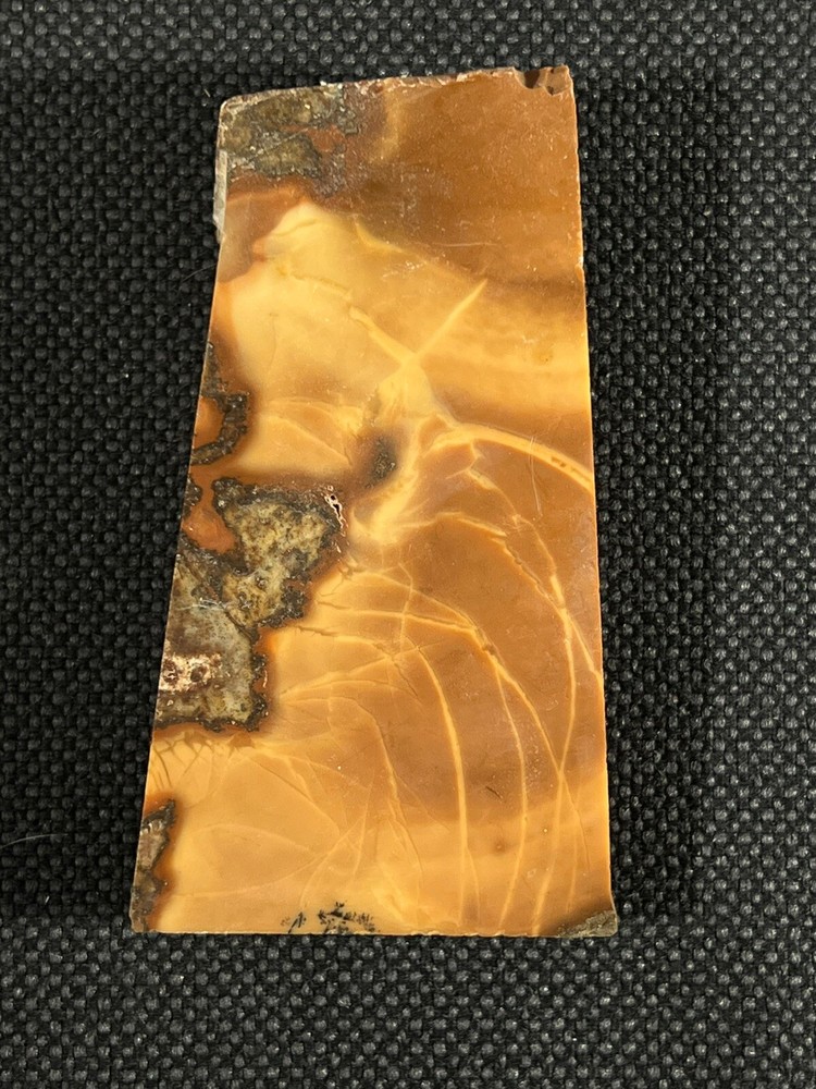 Bruneau Jasper Slab 99 gr Idaho, interesting patterns, thickness varies