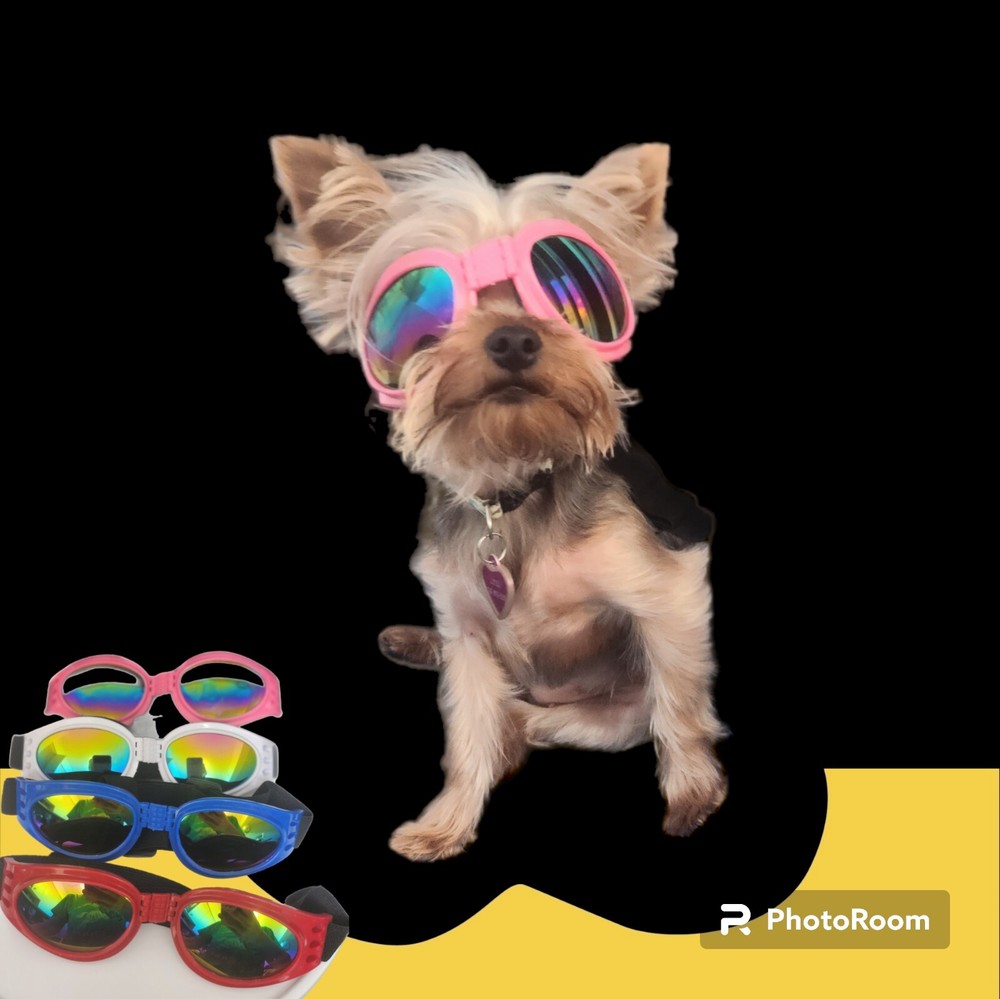 dog goggles One Size Fits All