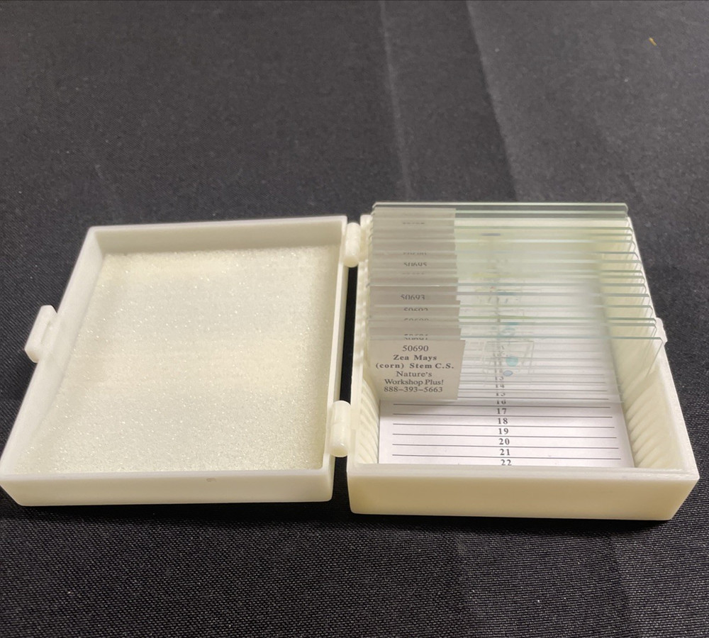 Slide Set for Exploring Creation with Biology - Nature’s Workshop Plus!