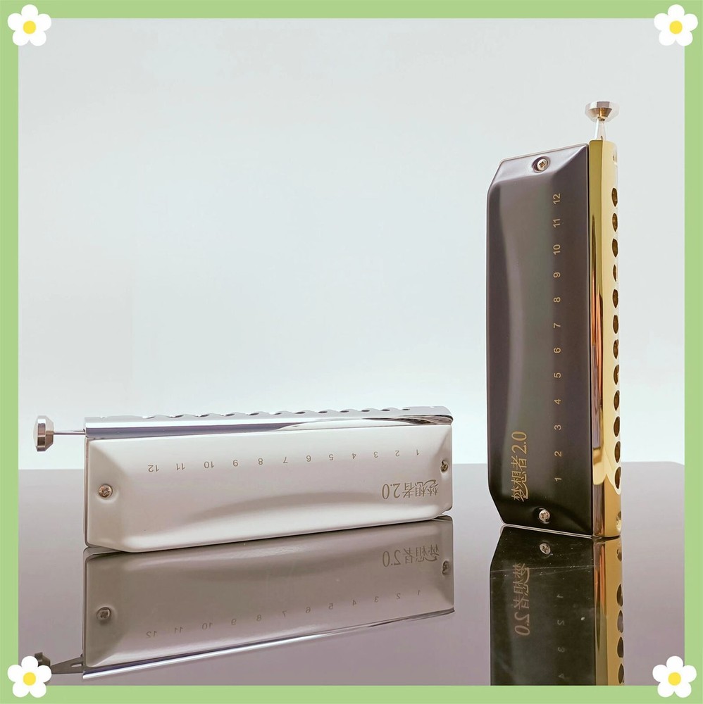 EASTTOP 12Hole Updated Version Chromatic Harmonica Key C Mouth Organ Harmonica