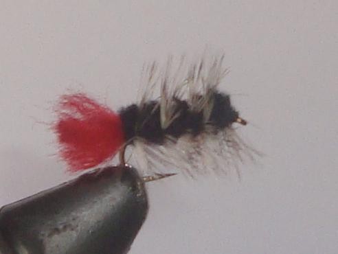 C/A FLIES  WOOLYWORM BLACK #8 (12)