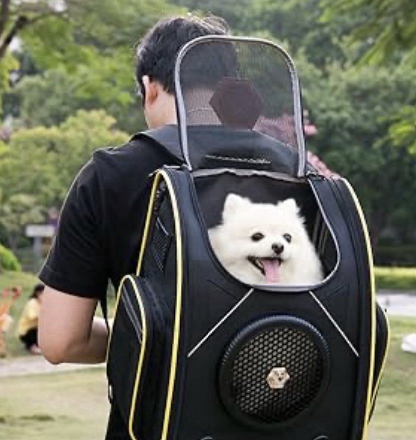 BACKPACK PET CARRIER FOR DOGS OR CATS