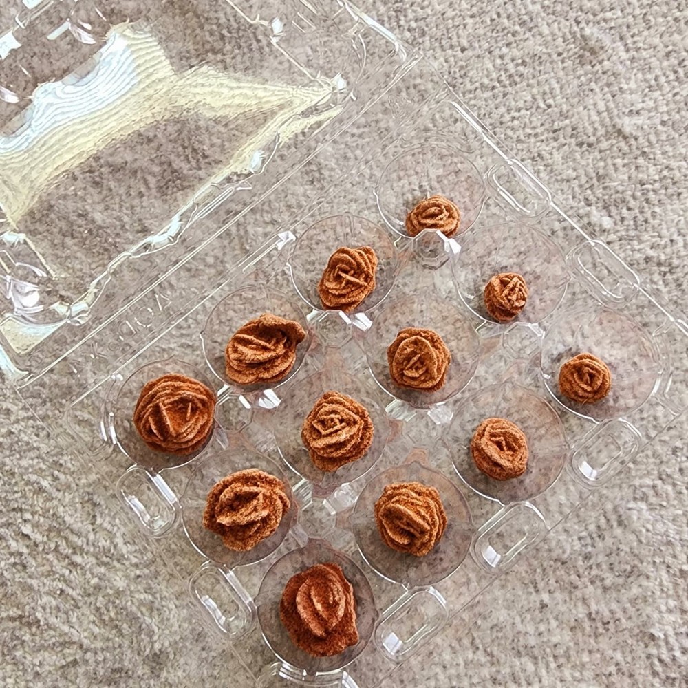 12 Pieces Barite Rose Rocks | Oklahoma State Rock