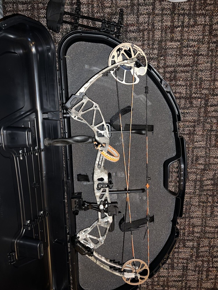 Bear Paradox Compound Bow