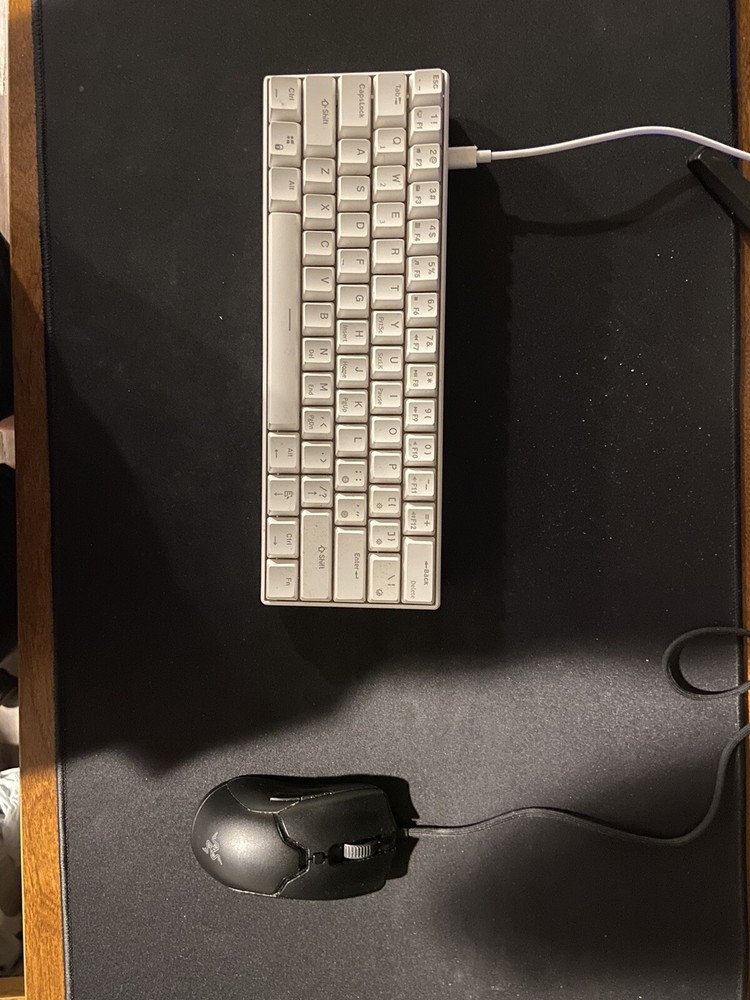 Gaming Setup (PC and Monitor)