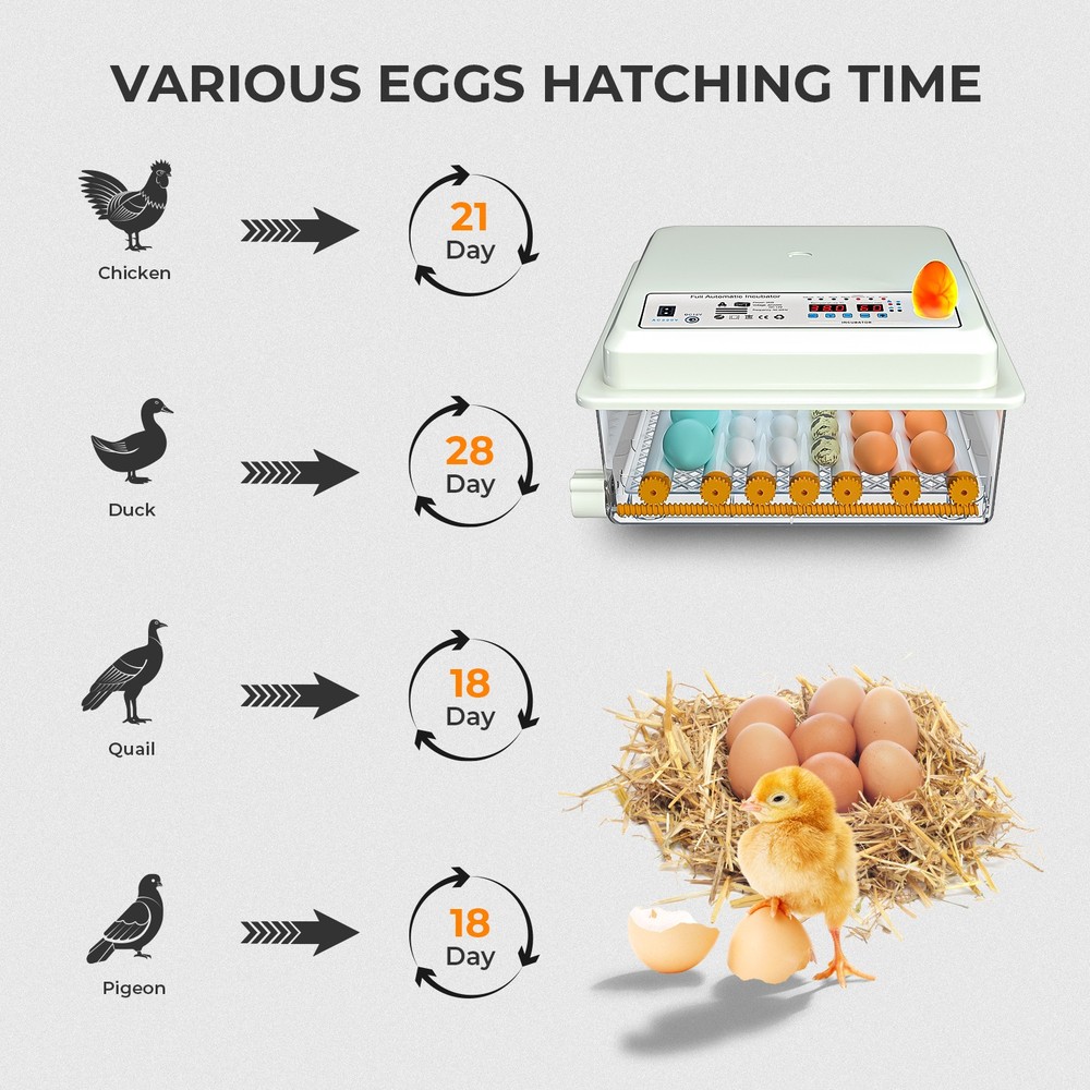36Egg Incubators for Hatching Eggs with Automatic Egg Turning and Egg Candler