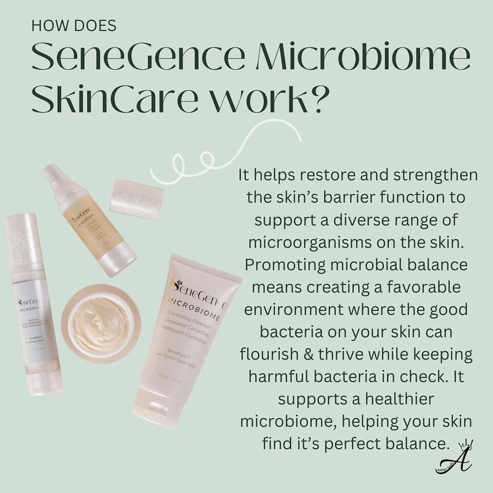 Authentic Full Size Sene Cleanser, Moisturizer-Dry, Oily, Normal, Micro $1 Ship!