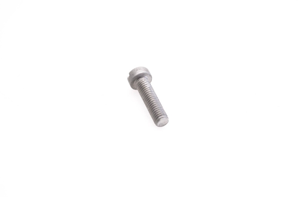 OMC 312491 Screw NOS