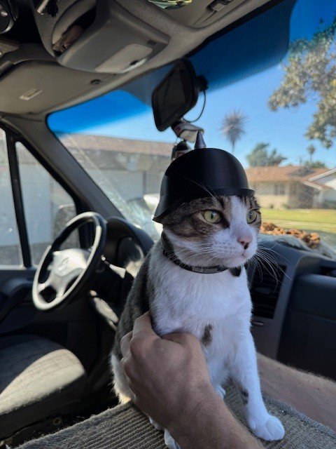 3D-Printed German Military Helmet for Cats