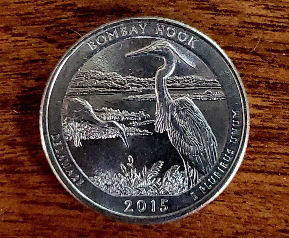 2015 P Delaware (Bombay Hook) State Quarter ERROR Coin