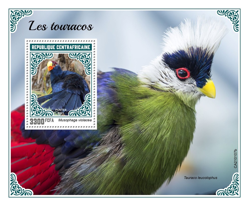 Turacos