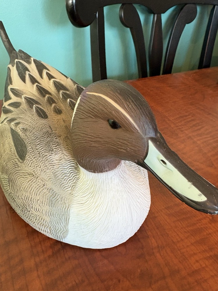 Pintail Drake Greenhead Life size