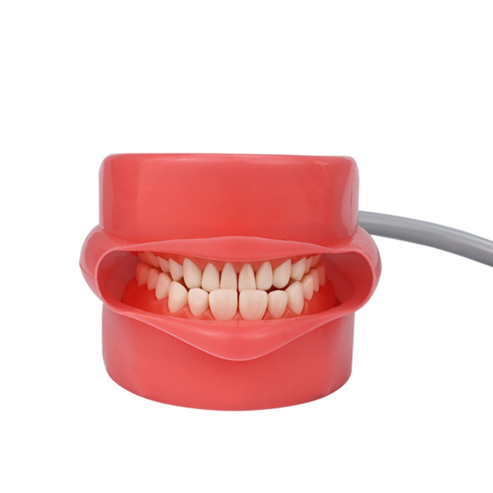 Dental Simulator Manikin Phantom Head Training Model Fix on Chair Unit Headrest