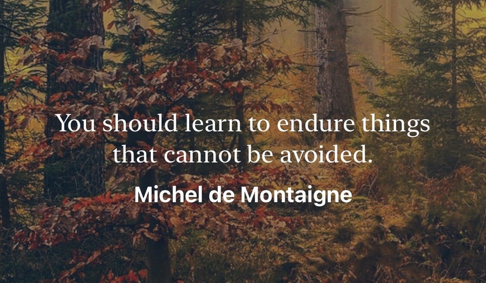 Motivation text, I will send 10 days motivation text how it will comfortable