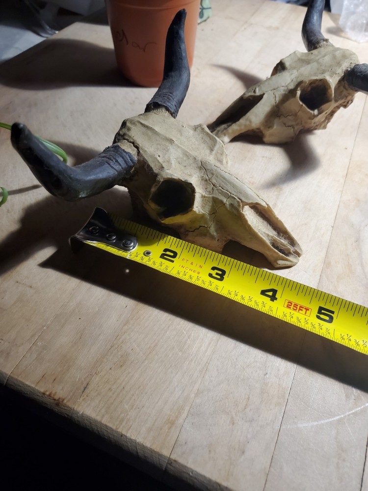 Decorative pair of Skulls