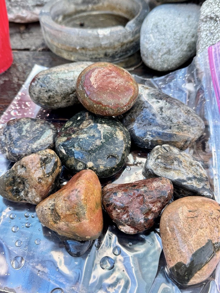 Jaspers Rough Lapidary 5 Lbs