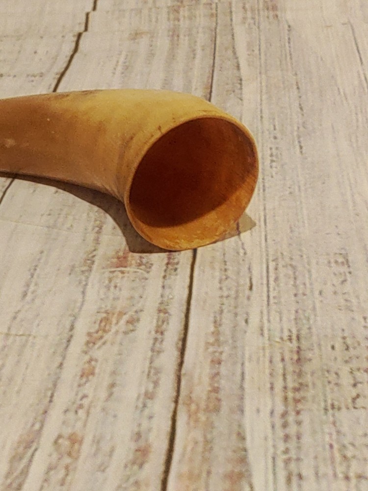 Authentic Antique Powder Horn