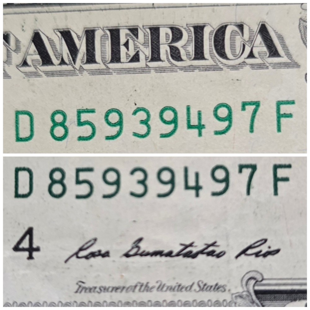 $1 Contaminated Ink Well Error D85939497F CIRC