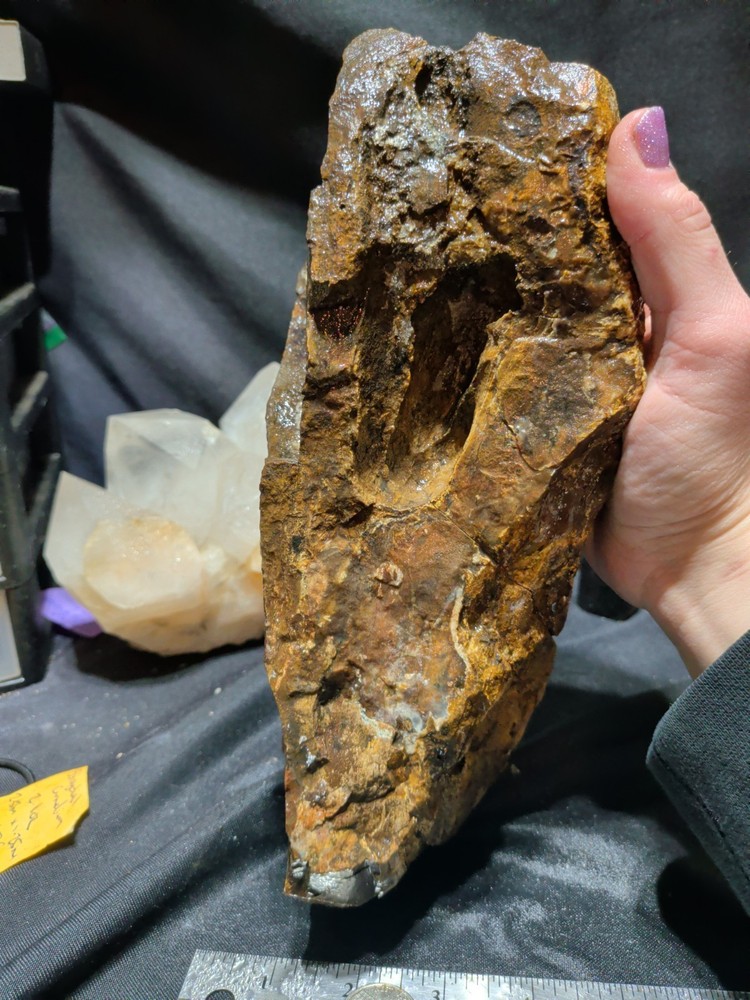 Biggs Jasper Specimen w/ Rolling Hills Patterns Natural Form (6lbs 10oz)