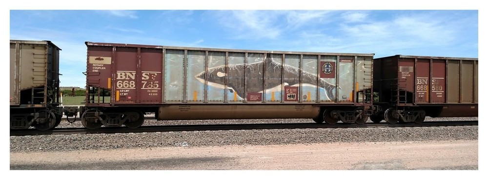 BNSF Coalporter Bethgon #668785 Whale Graffiti HO Scale