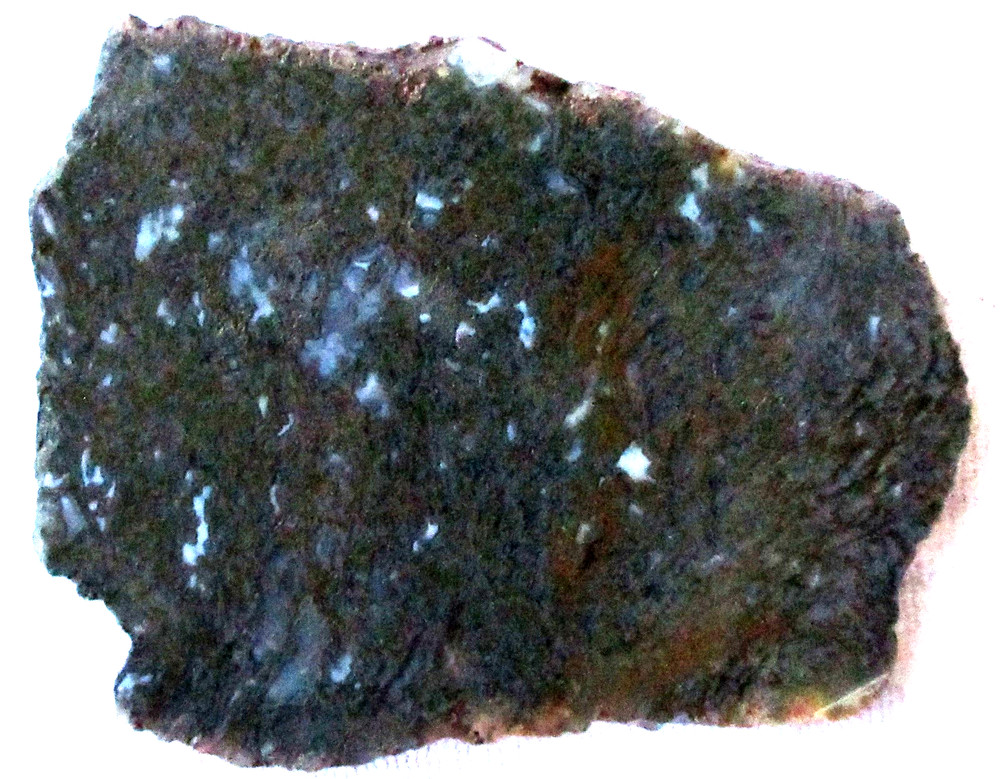 Moss Agate Slab - 80 Grams - Green - Dendritic - Mexico - Translucent