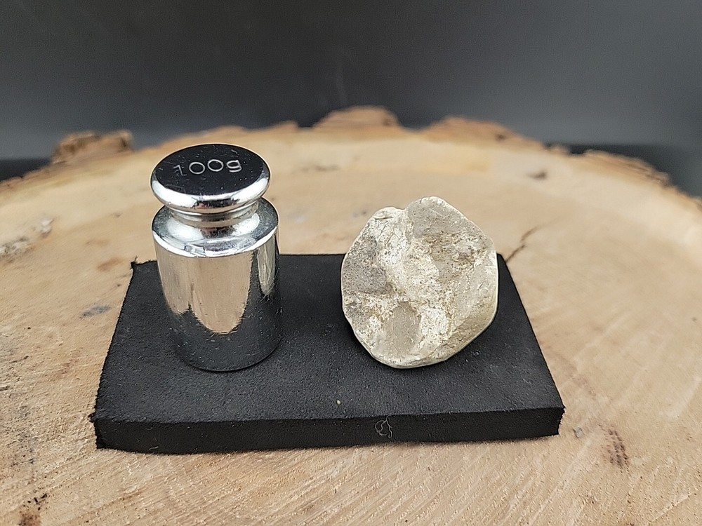 Real Fossilized Dinosaur Half Egg Embro Uv Reactive