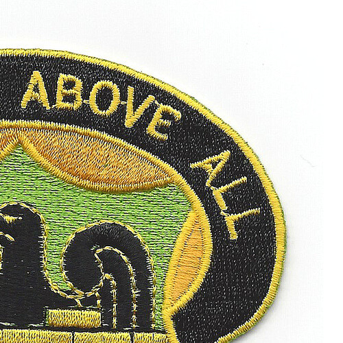 228th Military Police Battalion Patch