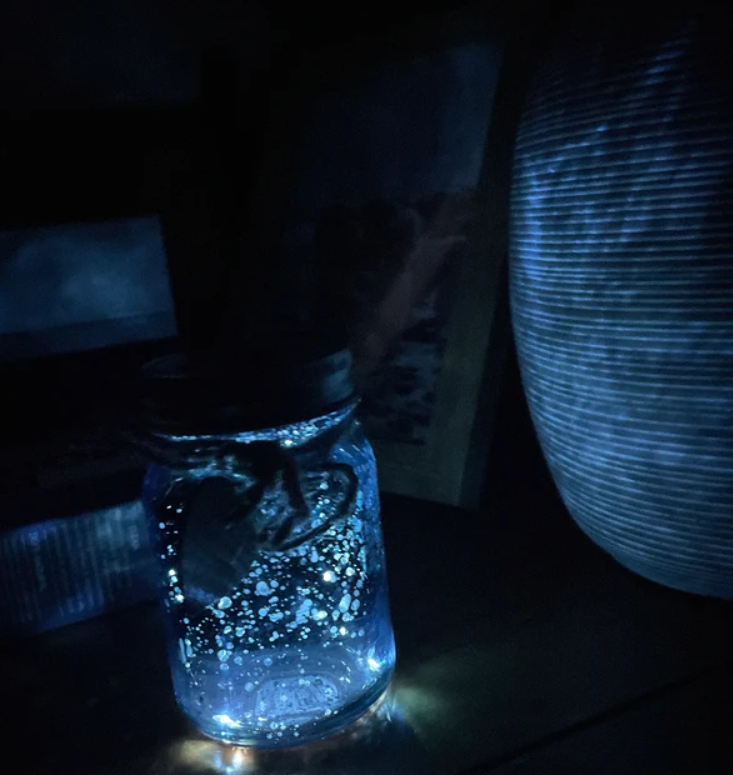 Light Up jar -LED Night Light-Sparkle Light- Firefly Jar- Glitter Jar