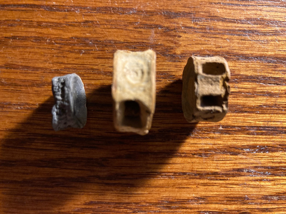 3 Fossilized Fish Vertebrae from Central Florida - Unique Sizes