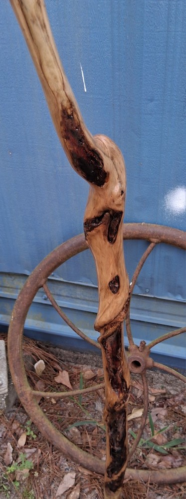 Handcrafted Wooden Walking Stick