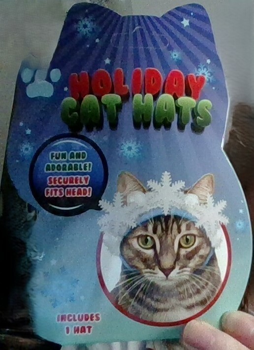 cat hat for cats
