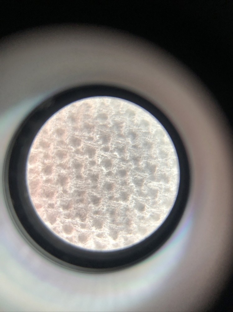 NIKON 10X /21 MICROSCOPE EYEPIECE OCULAR ~ 10X/21