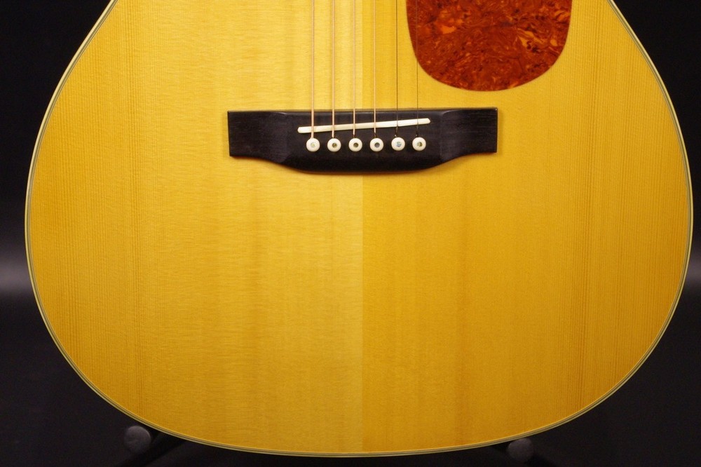 Johnson Guitars JO26