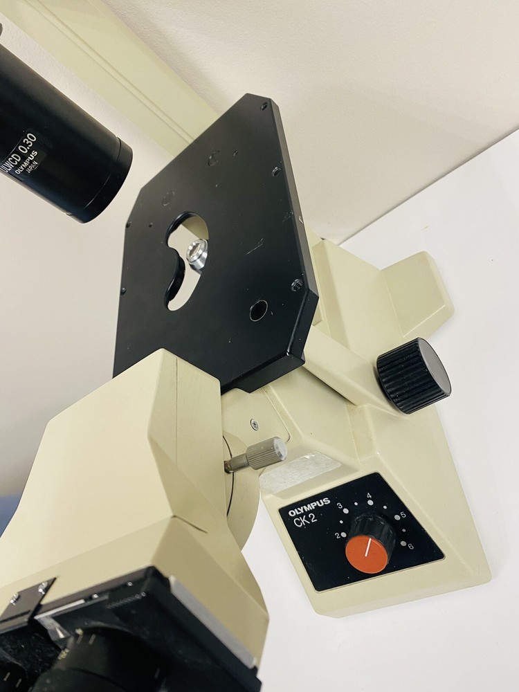 Olympus CK2 Inverted Binocular Microscope