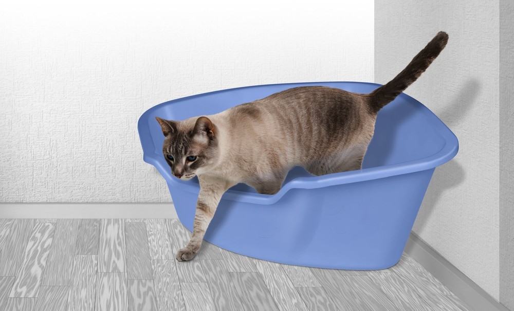 Corner Litter Pan from Van Ness High Sided Design Maximizes Corner Space Usage