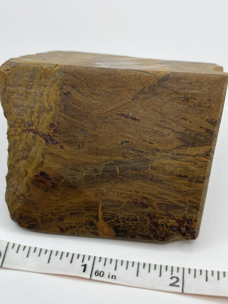 Petrified wood
