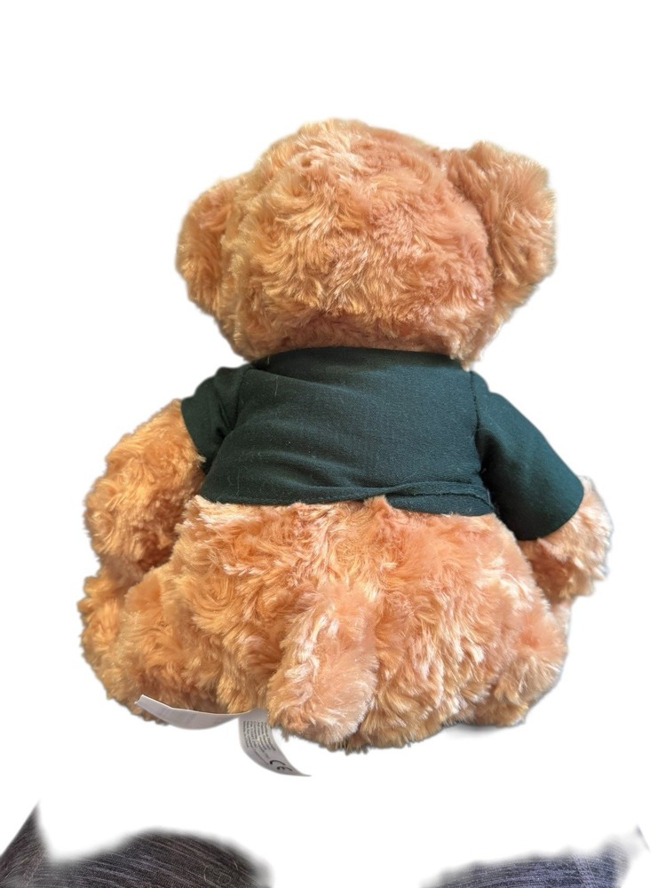 NDSU Bear
