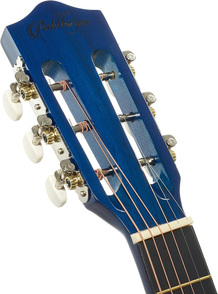 38-Inch Beginner Acoustic Guitar Package (Blue), Basic Starter Kit W/Gig Bag, St