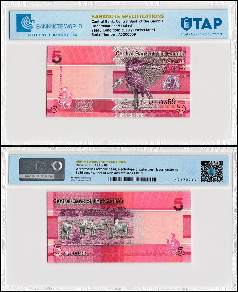 Gambia 5 Dalasis, 2019, P-37, UNC, Authenticated